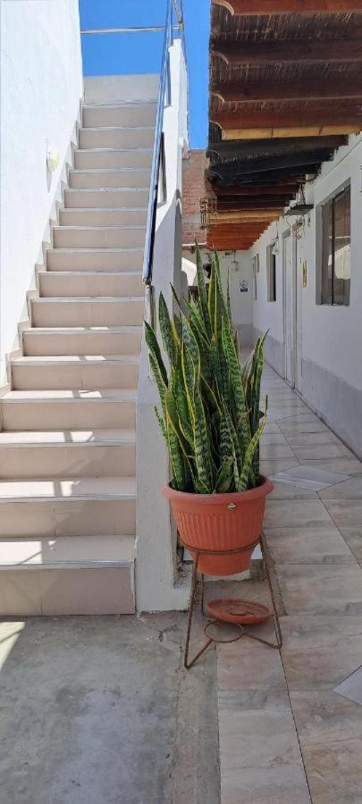 Hotel Paraaco Paracas Dış mekan fotoğraf